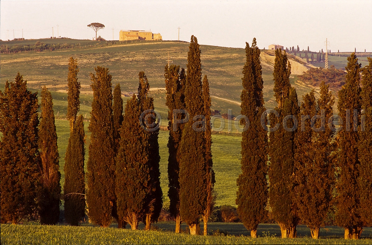 Hills, Tuscany, Italy
 (cod:Tuscany 19)